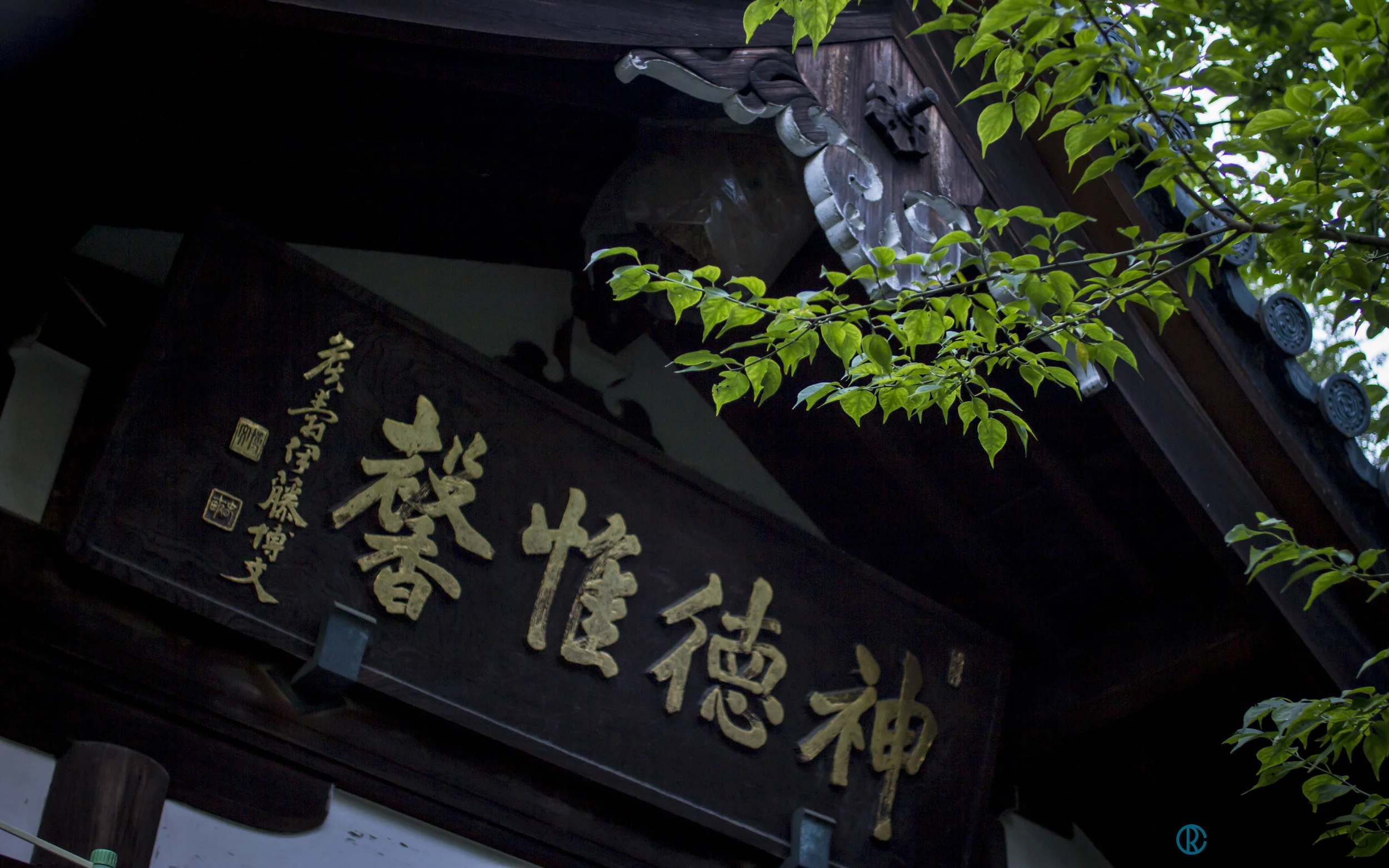_MG_9950.jpg