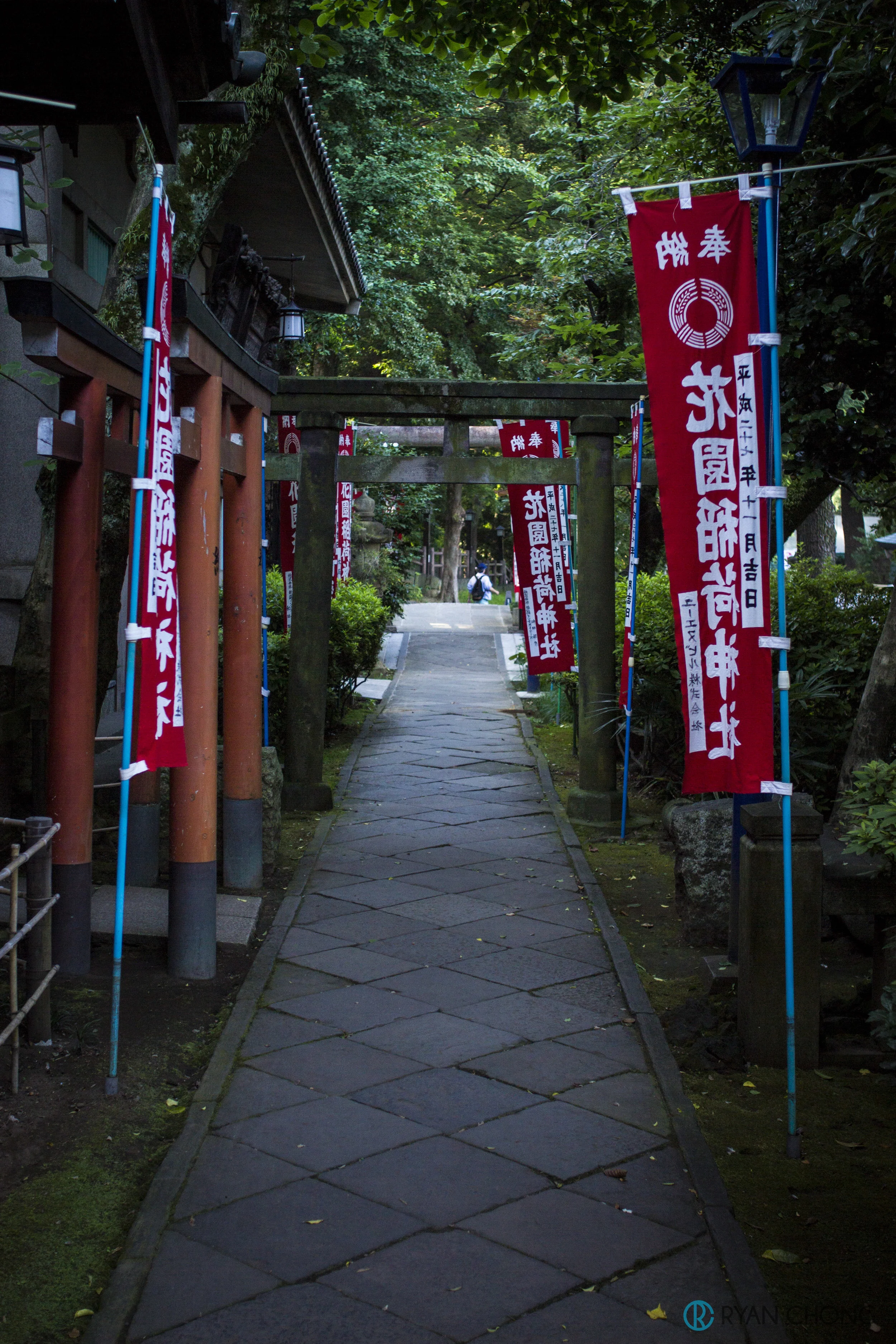 _MG_9953.jpg