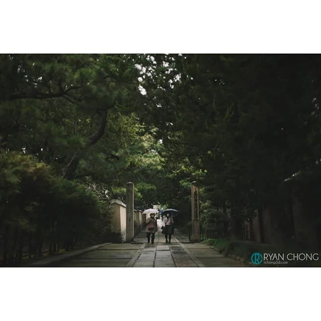 Kyoto. Making my way to Kiyomizu, I decided to take a less crowded route through the Kenninji Temple grounds and came across this nice tree covered path. Saw these 2 old ladies coming down the path so I waited till they got to the natural skylight ri