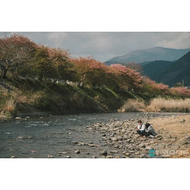 Kawazu Sakura. Had to balance myself on a couple of small rocks in the river to take this shot. I arrived in Kawazu during post full bloom season for their cherries but it was still pretty. I loved how the shadows of the trees created these lines of 
