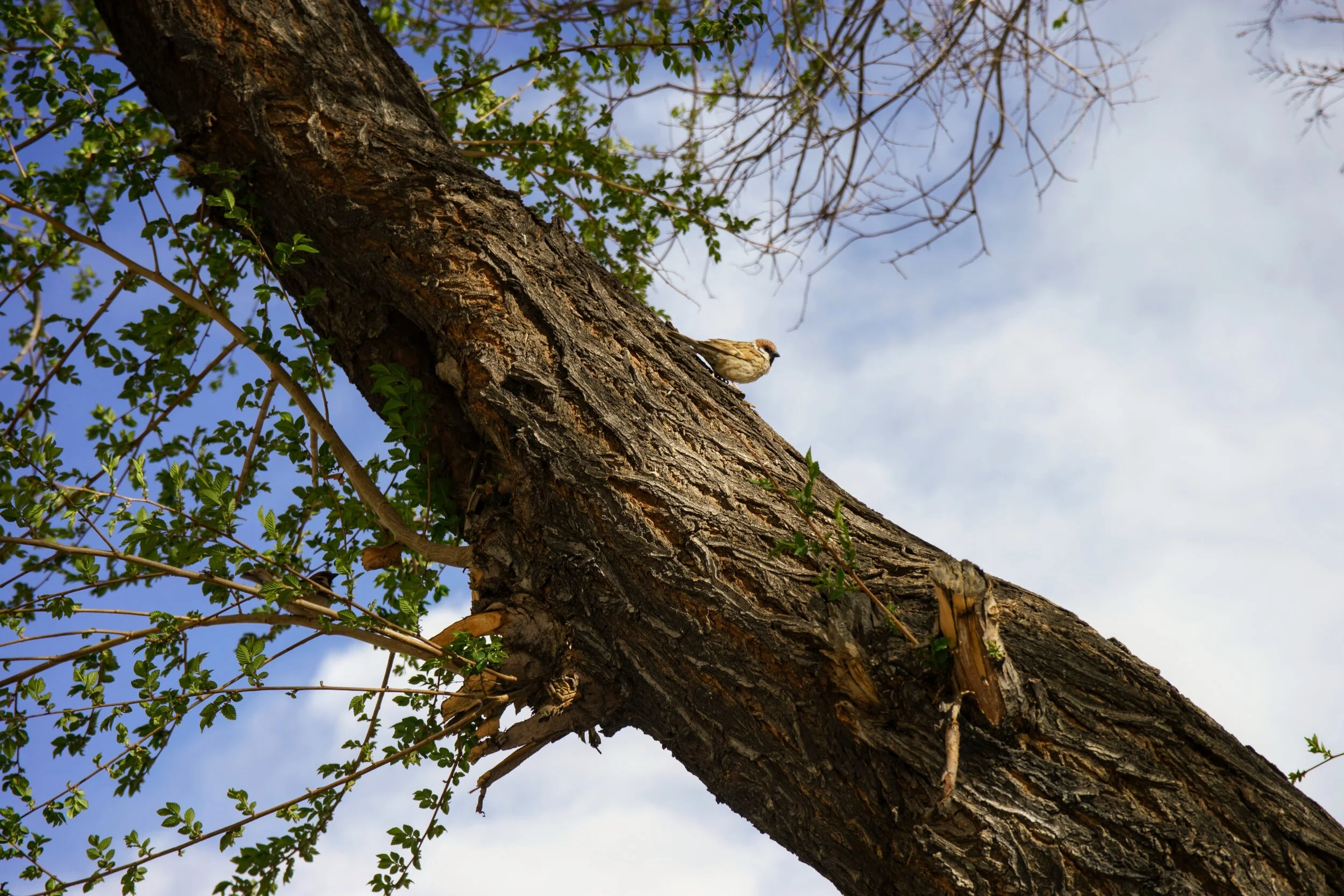 DSC09852.ARW.jpg
