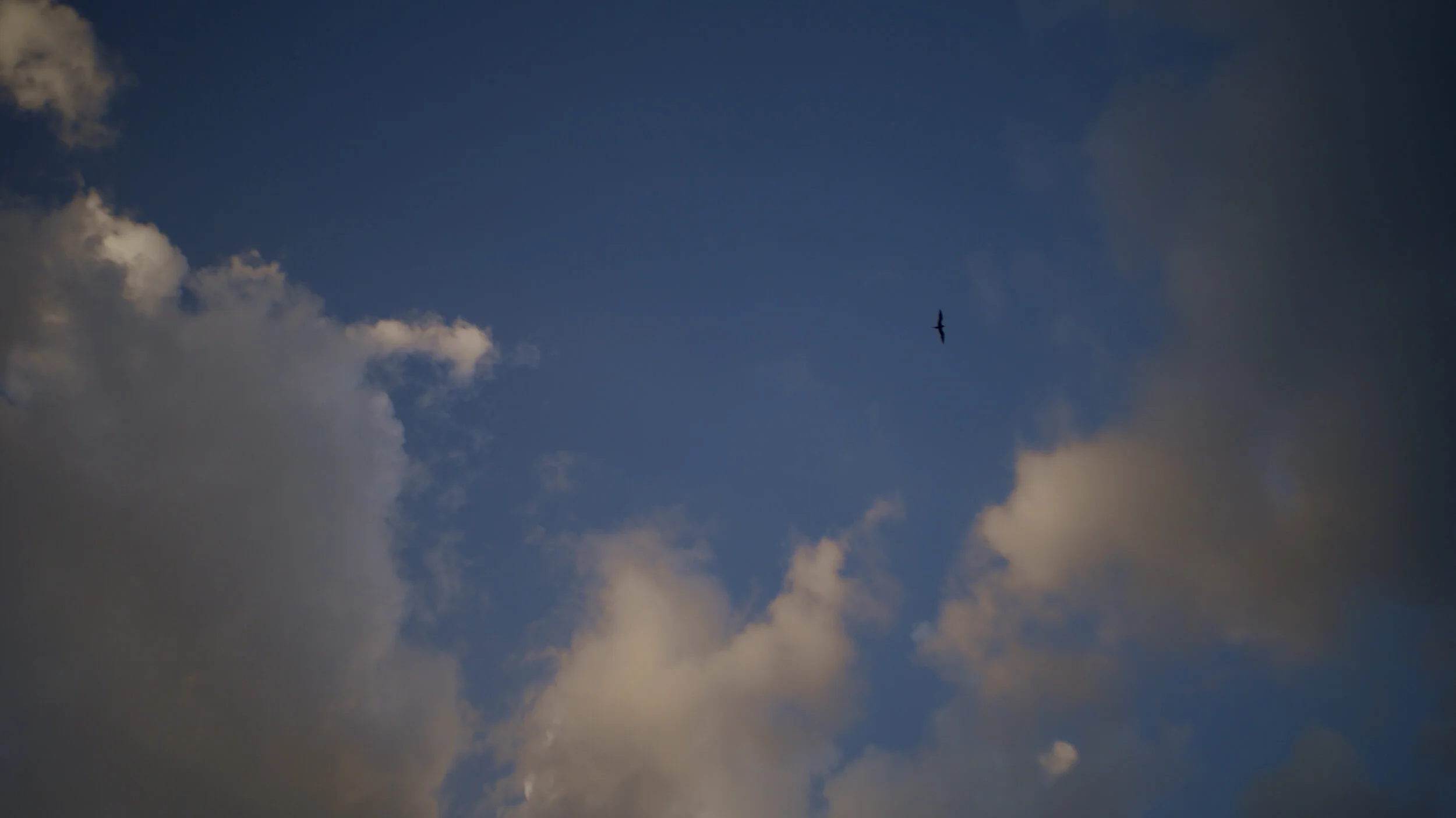 DSC03302-2.jpg