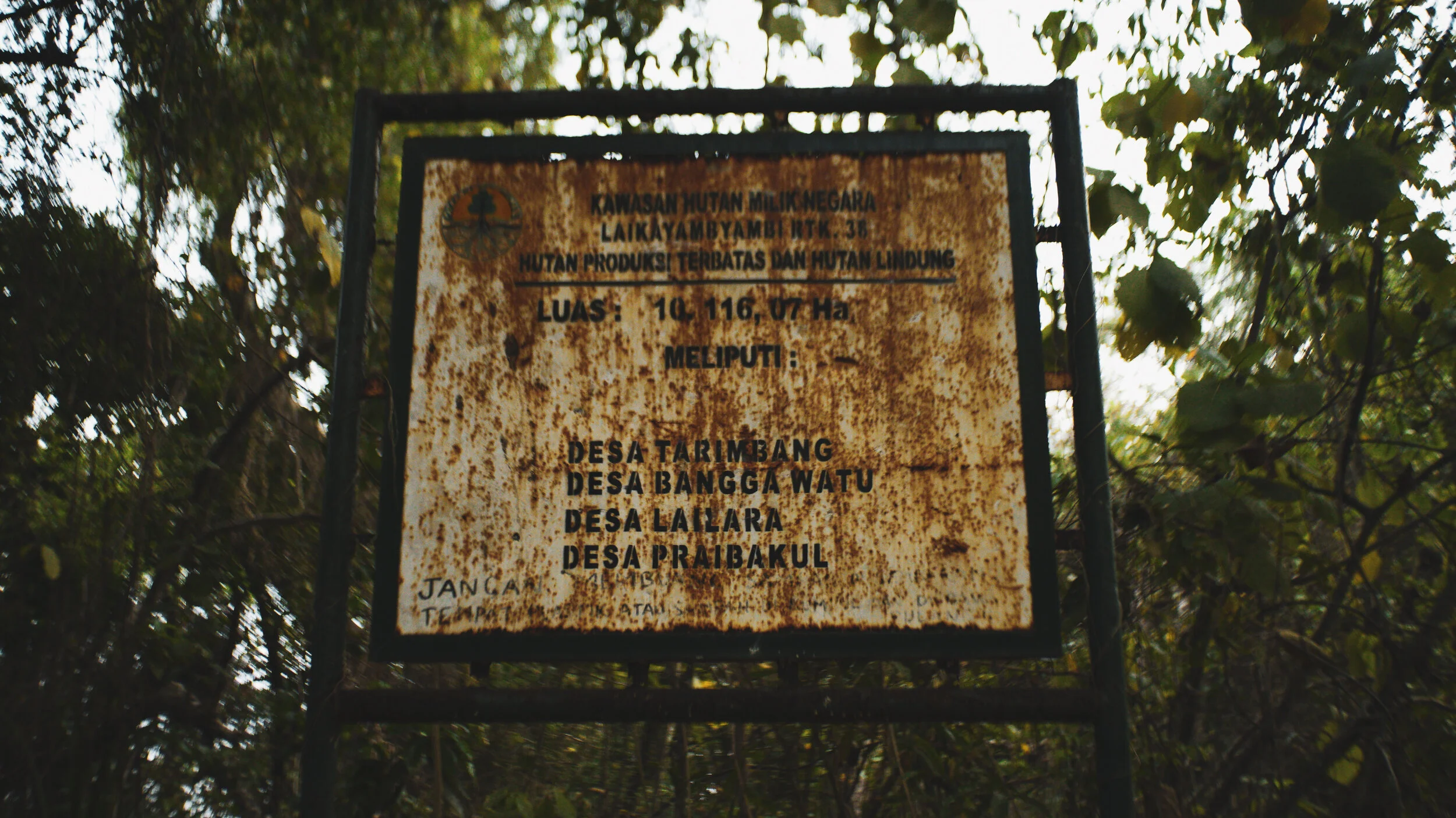 DSC03309-2.jpg