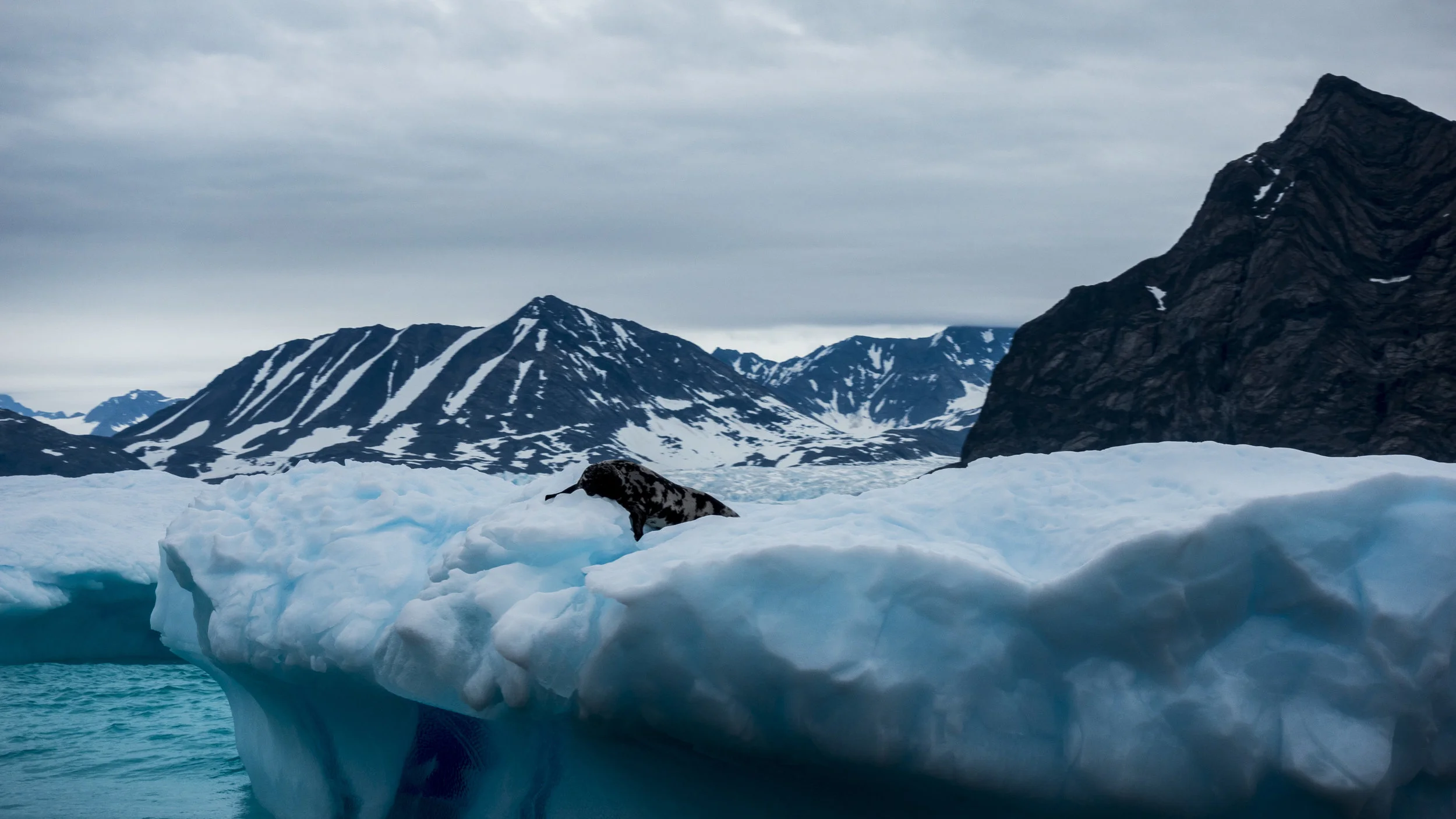 Egg 'n' Bacon and Arriving on Storoe