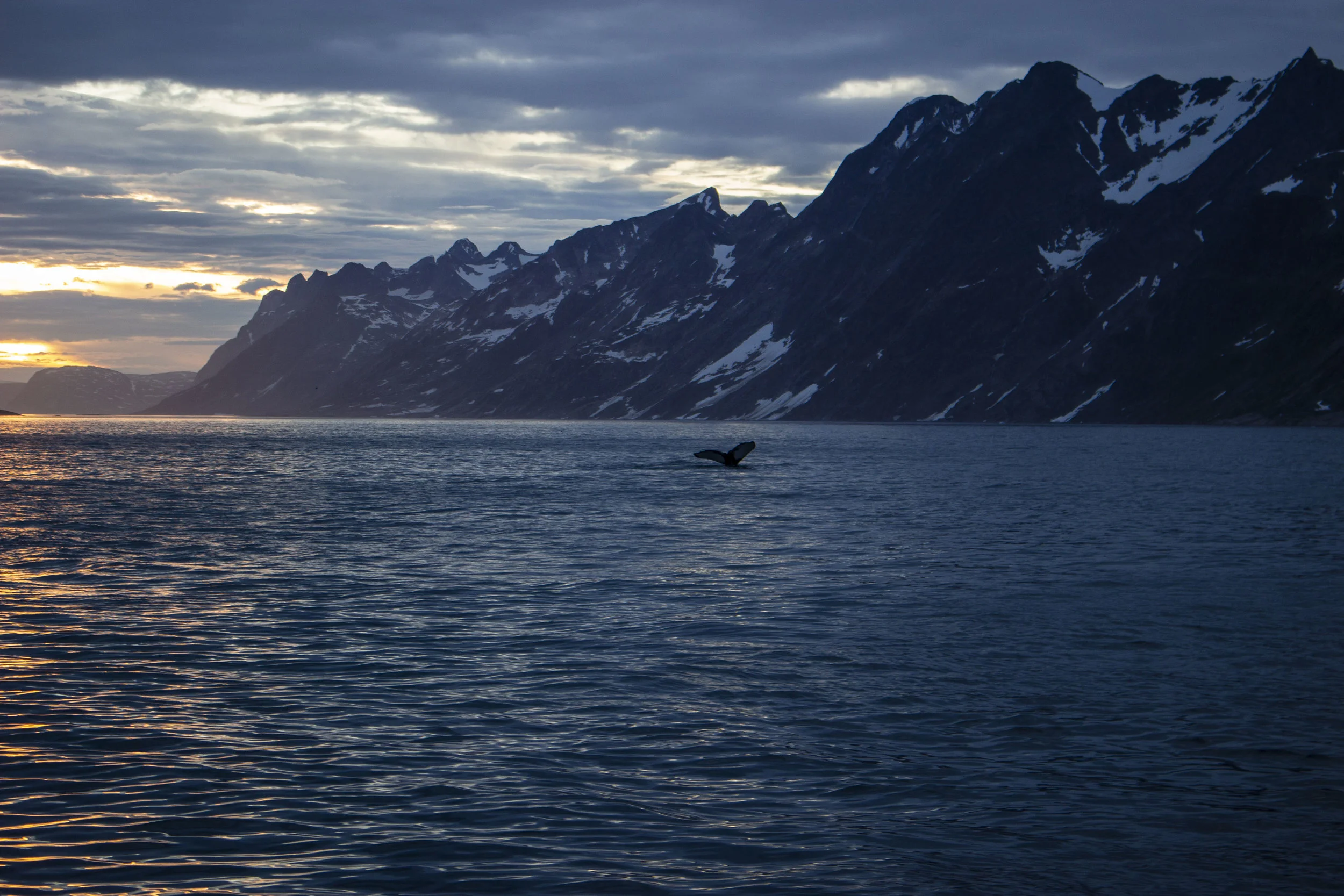 IMG_3479 red square.jpg