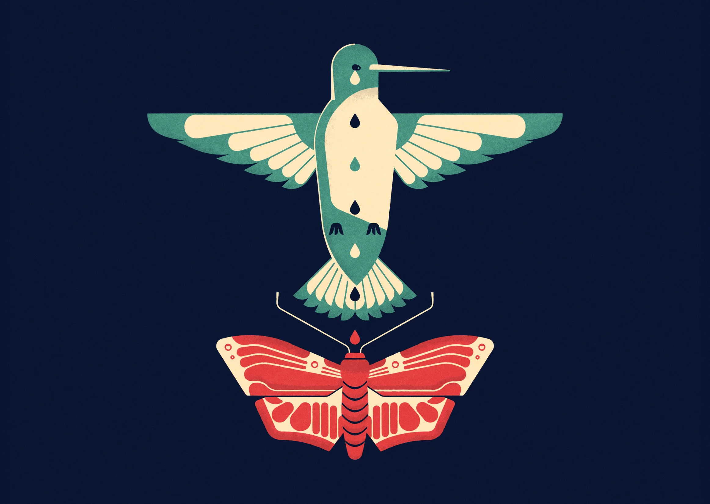 Above / National Geographic - These Moths Drink the Tears of Sleeping Birds