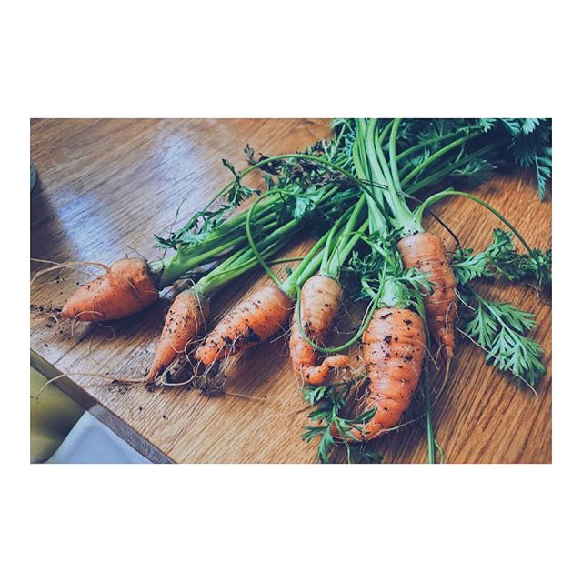 It&rsquo;s the simple things... First batch of carrots 🥕 🥕 🥕  Clare and Delilah have been growing some tasty goodness this year in the trug. And their effort have started to pay off!
#homegrown #thegoodlife