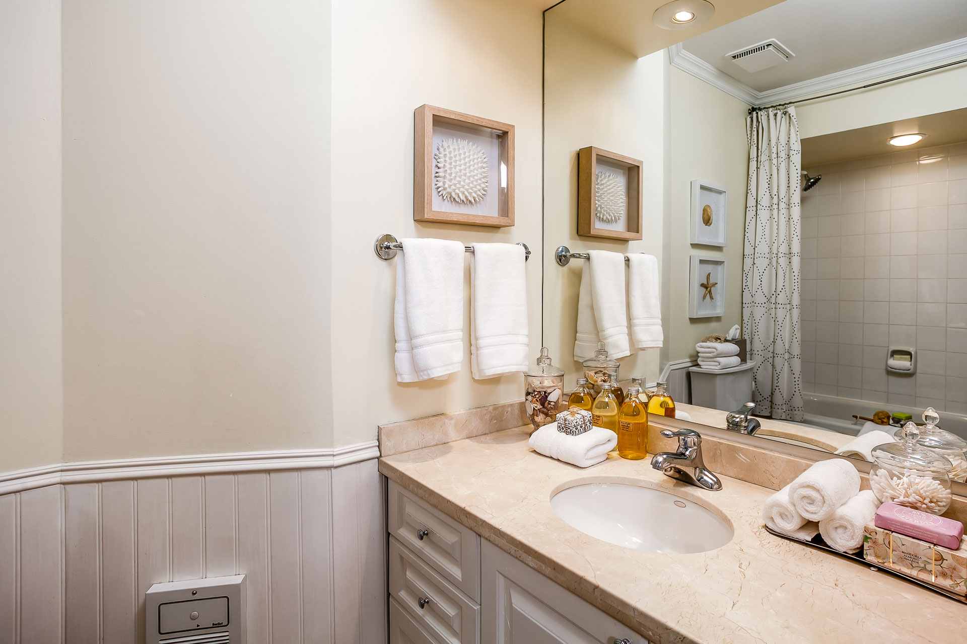 1347mountpleasant-web-48.jpg