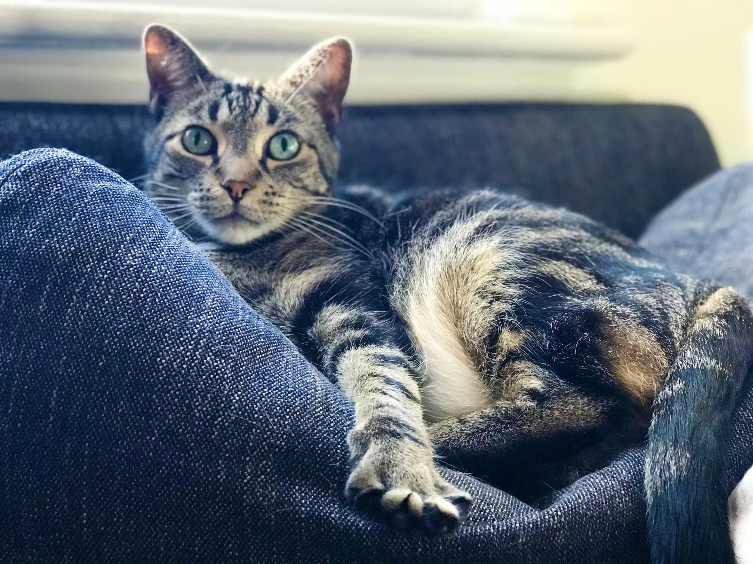 IMG_E9937.jpg
