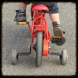  There's no need to learn to pedal until you learn to balance.