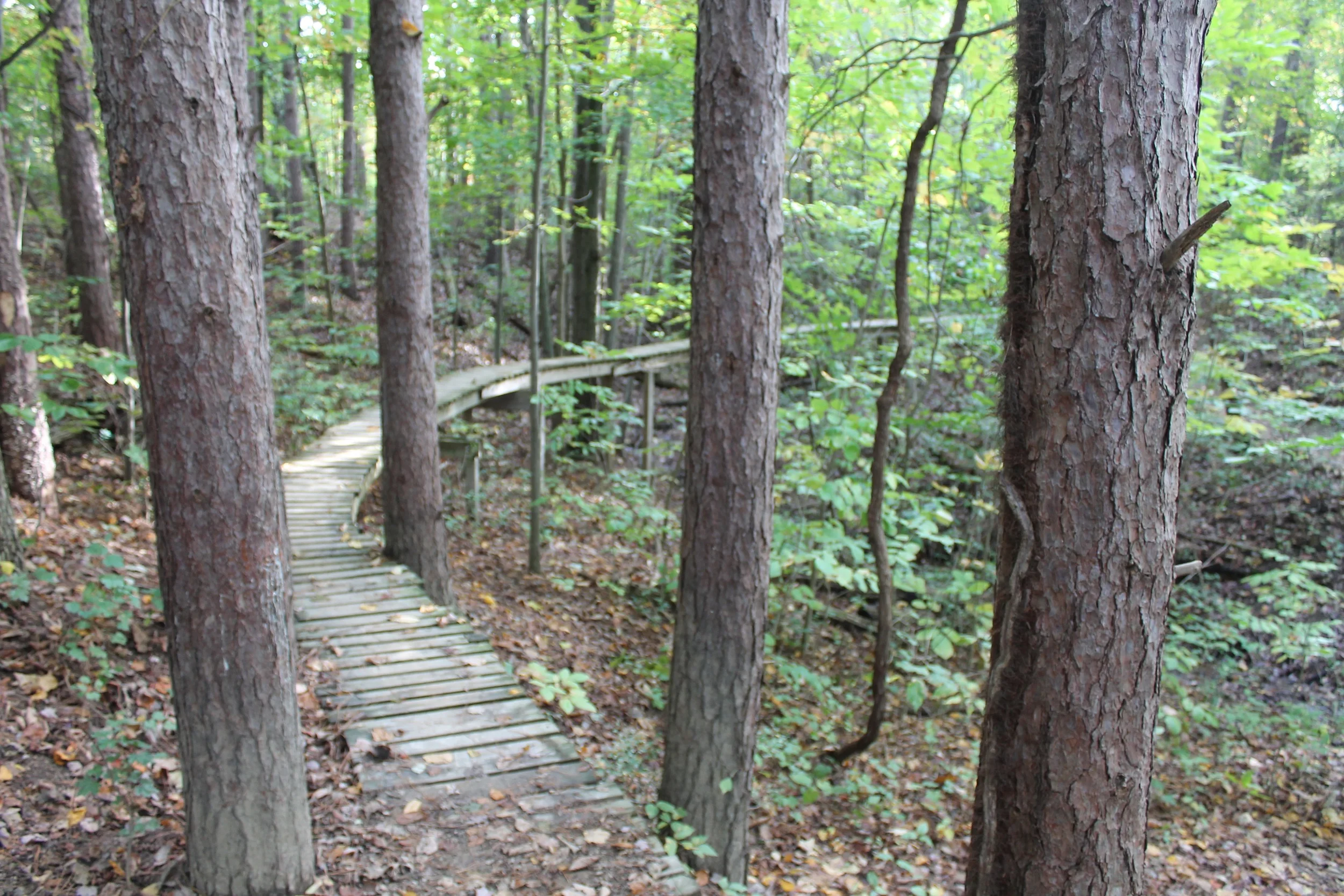 alum creek mountain bike trail phase 2