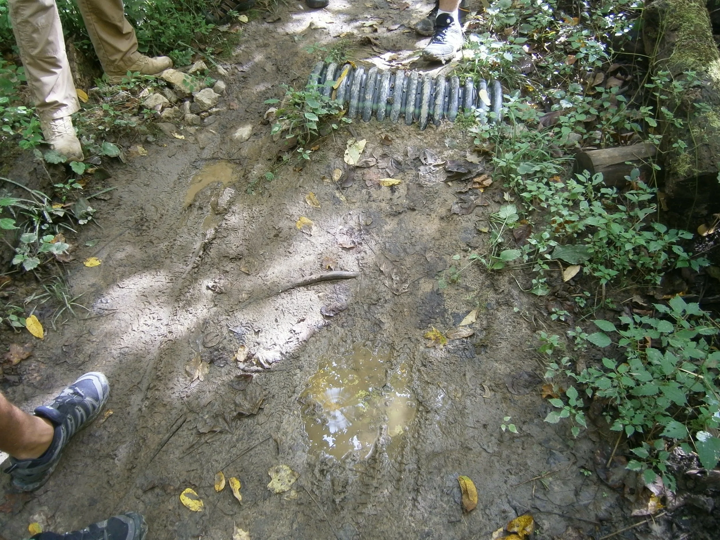 A particularly nasty section of trail now avoided by the new reroute