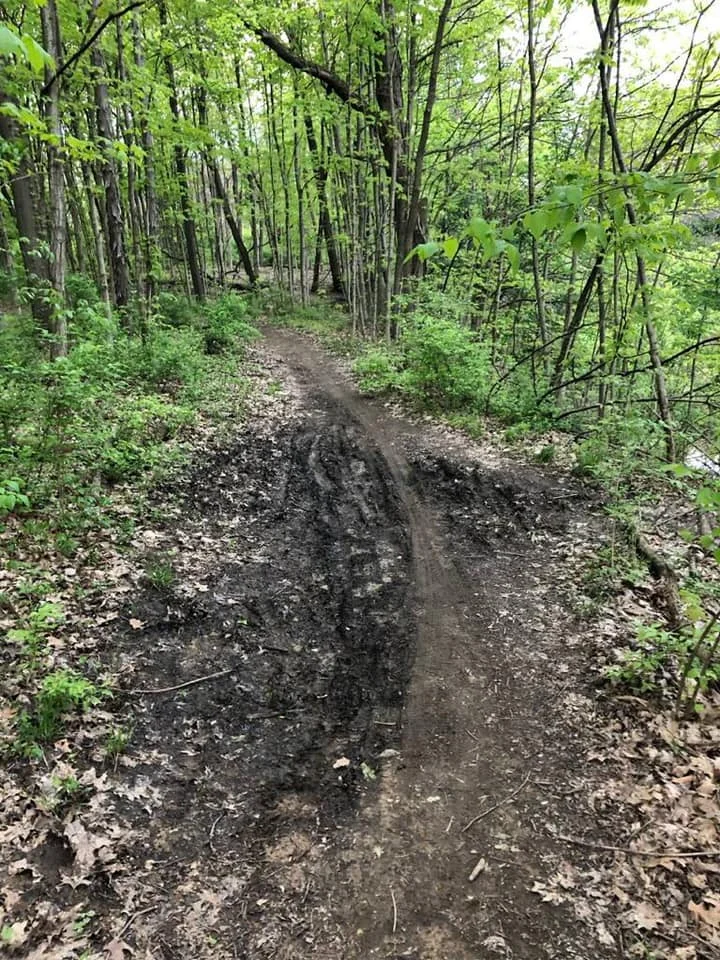 This is how trails widen and cease to be singletrack.