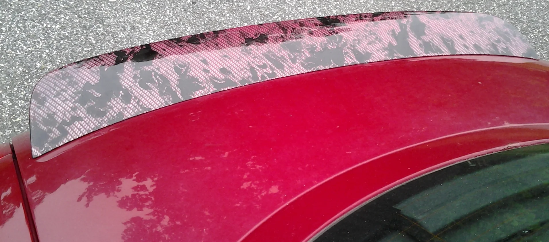 20120902_190330.jpg