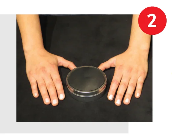 hotpawskits-step2.jpg