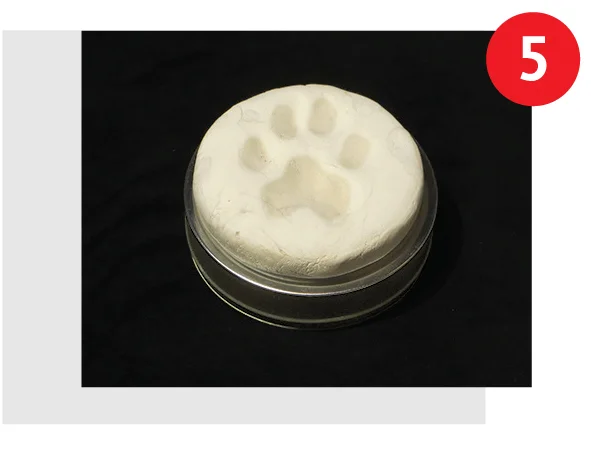 hotpawskits-step5.jpg