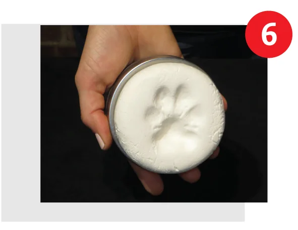 hotpawskits-step6.jpg
