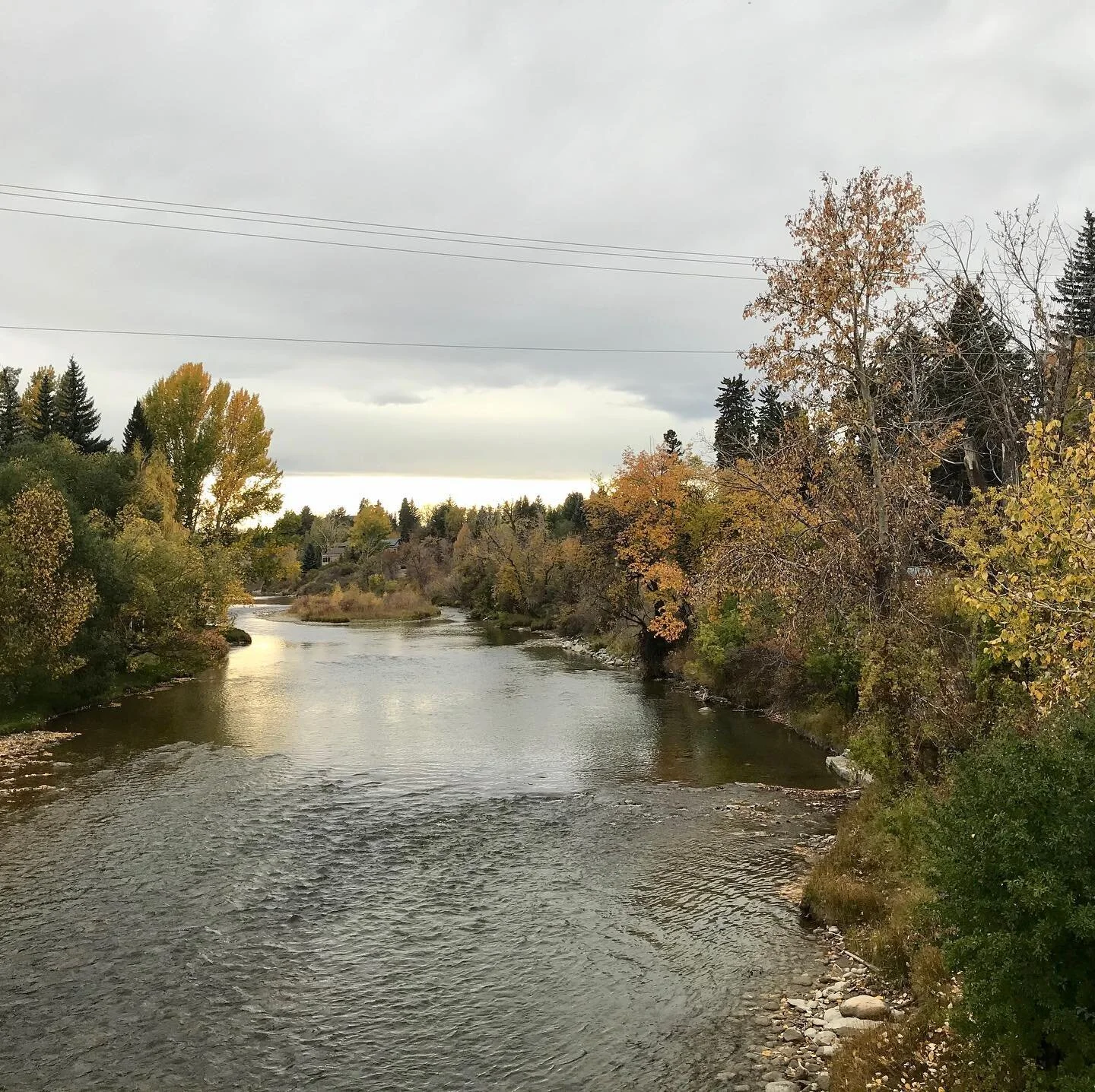 Wishing everyone a safe and Happy Thanksgiving! #thanksgiving , #thankful , #yycthanksgiving , #yycelbowriver ,