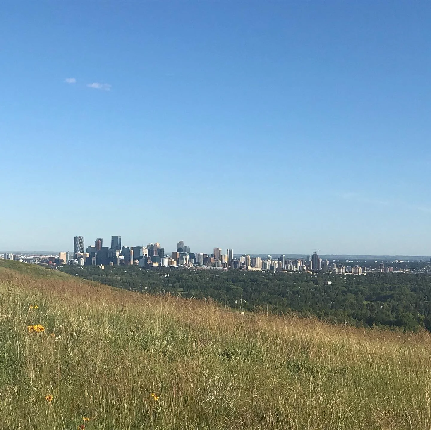 An evening hike on Nose Hill and one through the city at Princes Island Park. Everyone is loving the weather. Summertime after a lockdown has never felt so good ! #prince&rsquo;sislandpark, #calgary,#calgaryalberta ,#nosehillpark , #nosehillparkcalga