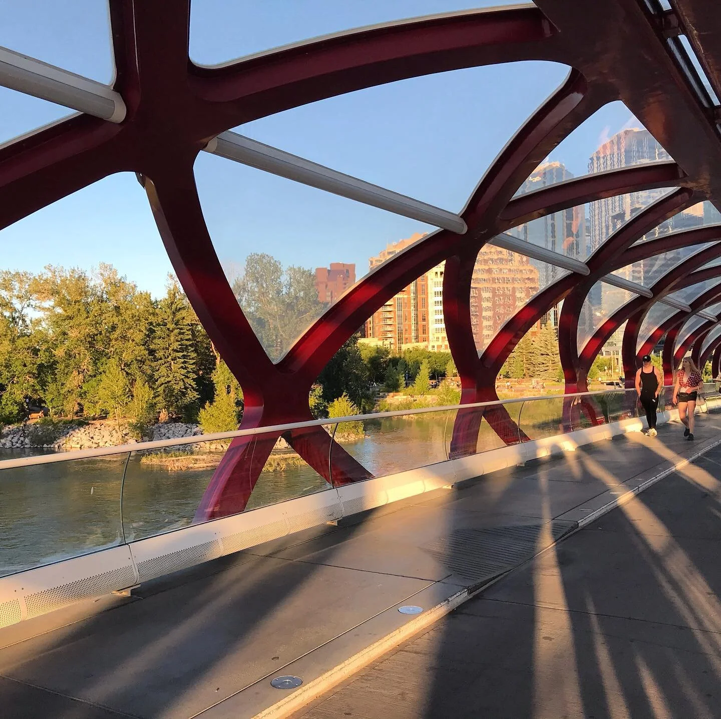 Walking through the Peace Bridge yesterday on an urban hike. #yyc , #santiagocalatrava , #prince&rsquo;s island,#calgary ,#calgarysummer