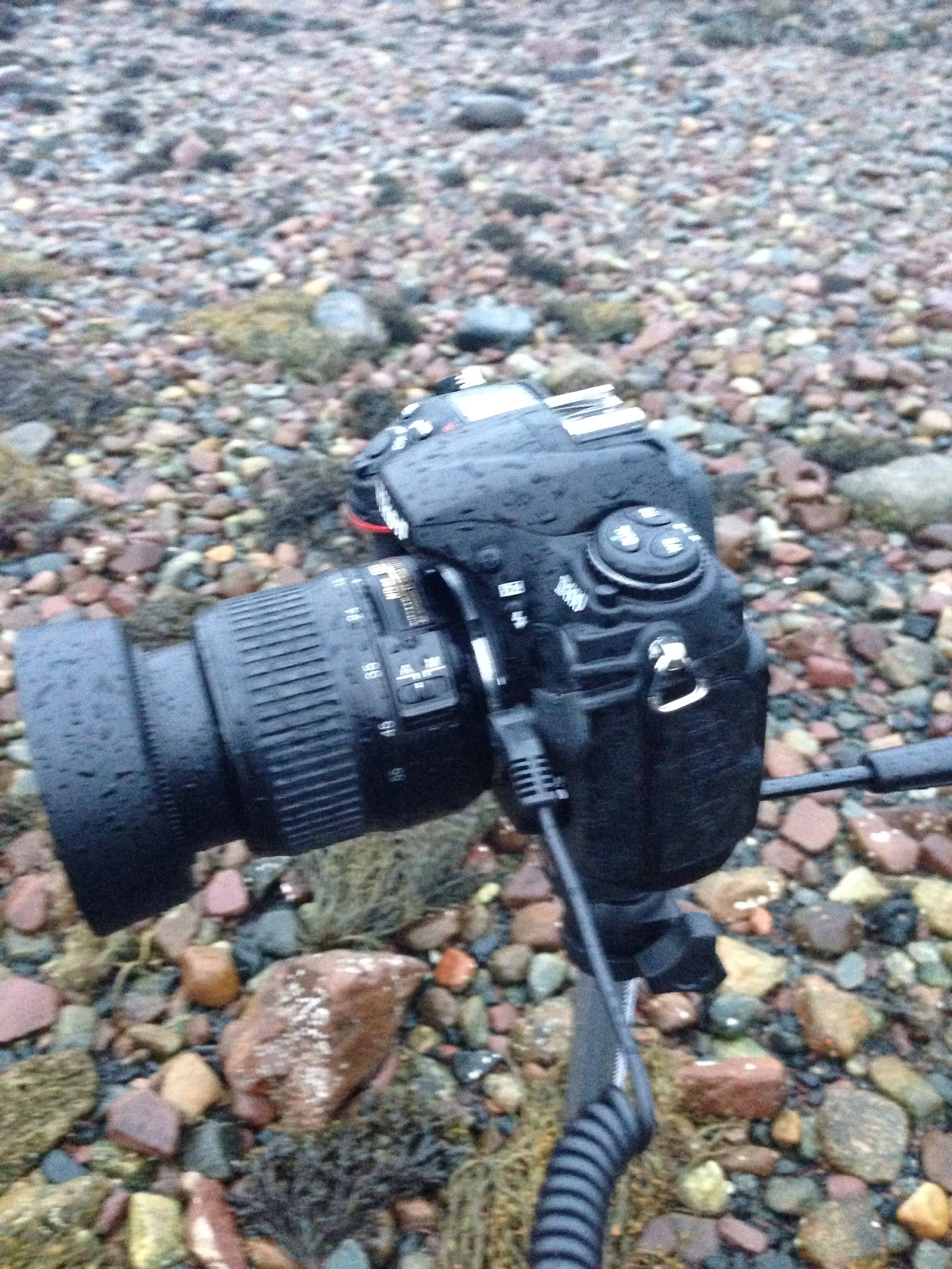 A slightly wet Nikon! (I blame the poor focus on the buffeting wind!)