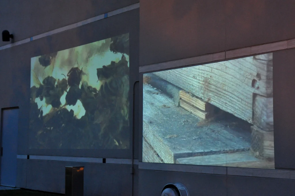 Installation view, Video projection