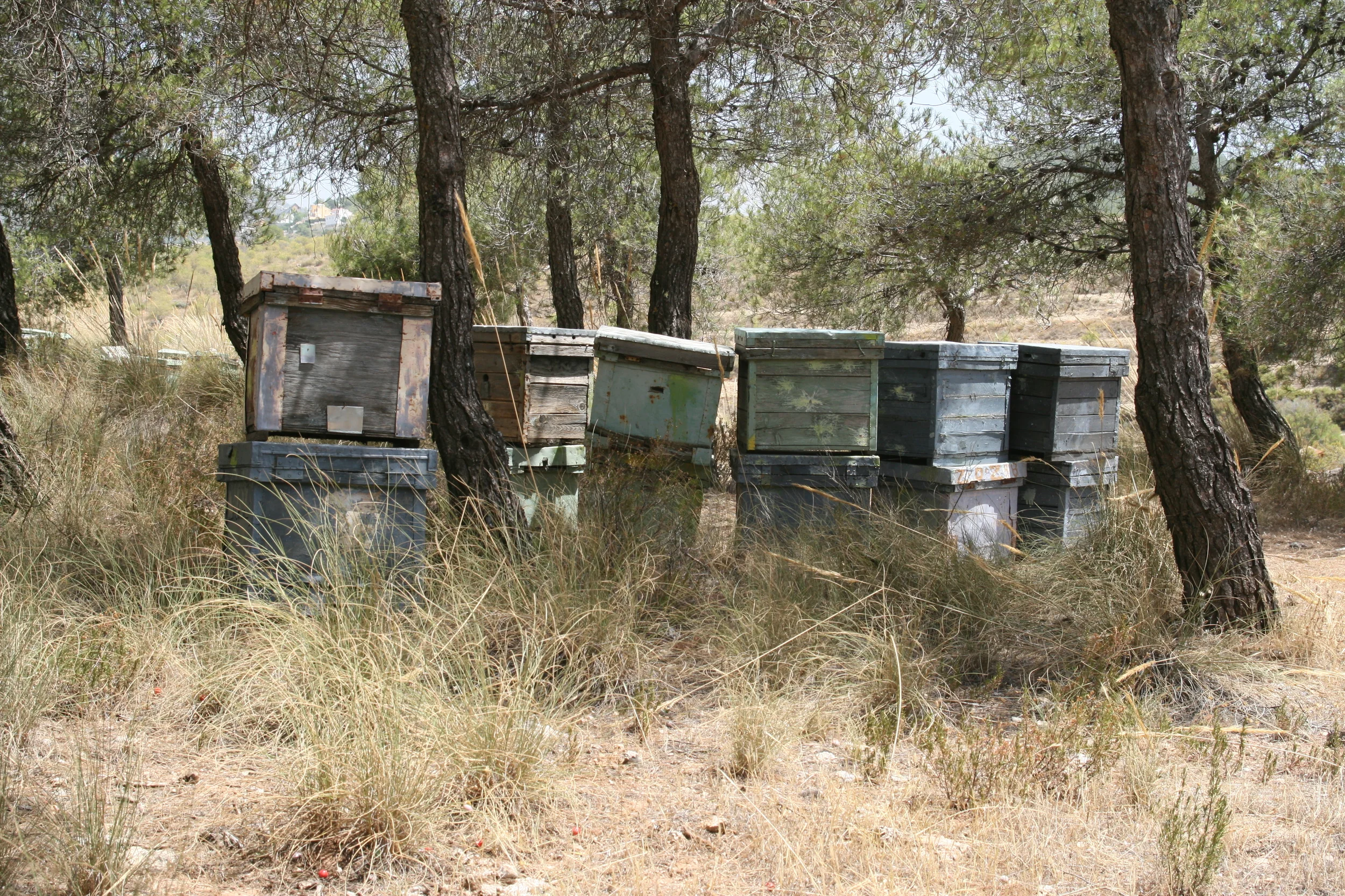 Apiary, Granada, Spain (2009)