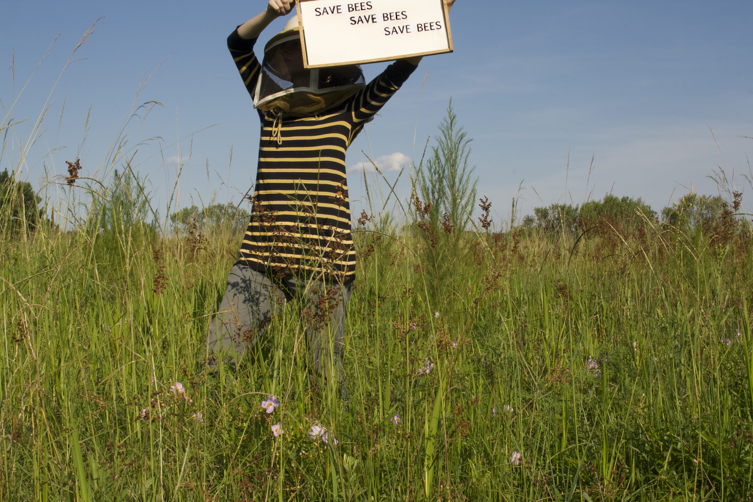 Save Bees, detail poster
