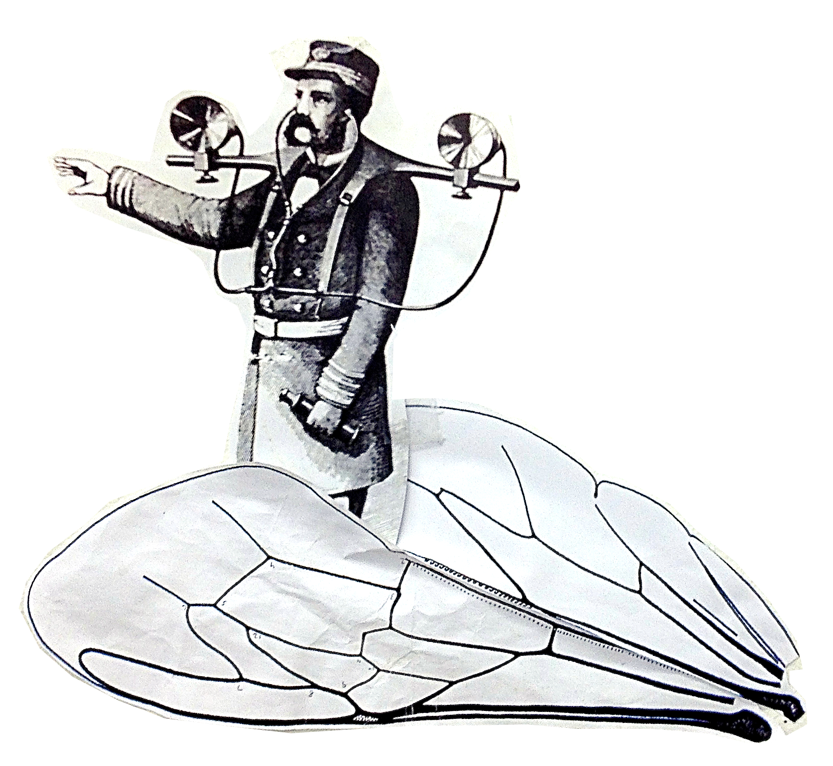   Direction Finder for sound