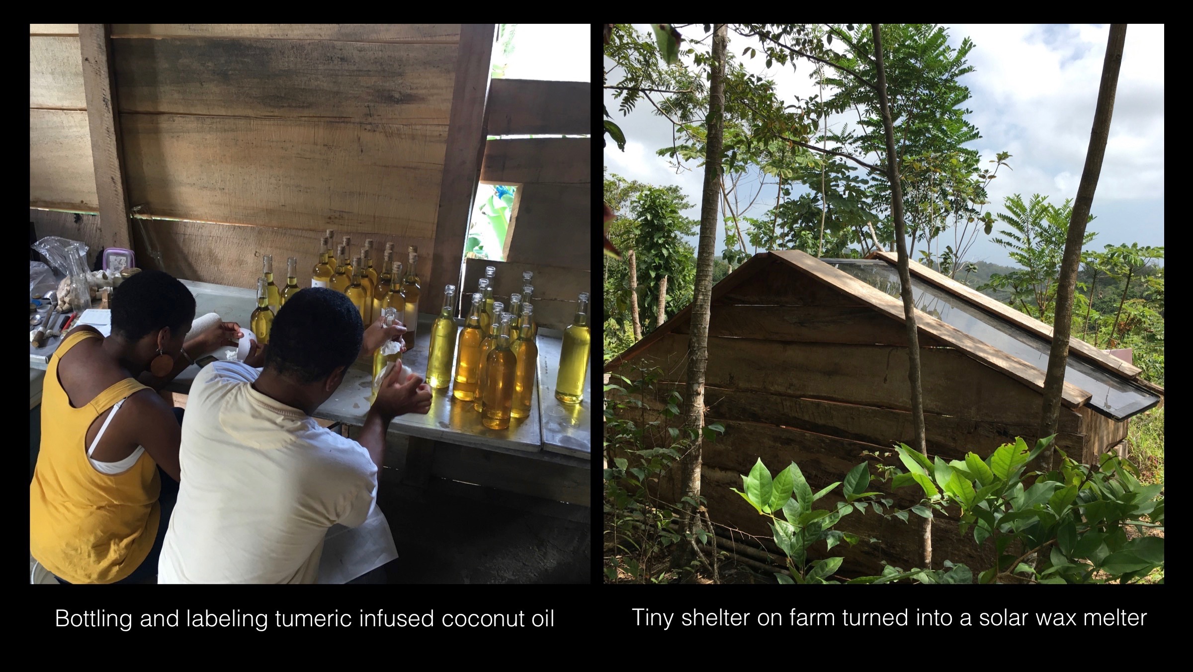 02_Rogers_St_Lucia_Farm.jpg