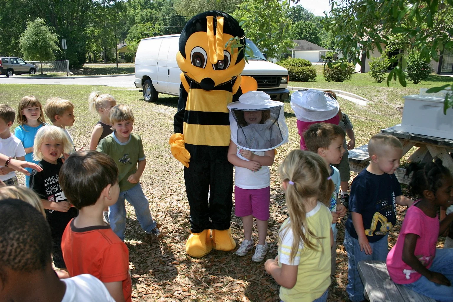 IMG_0096 A Giant Bee.JPG