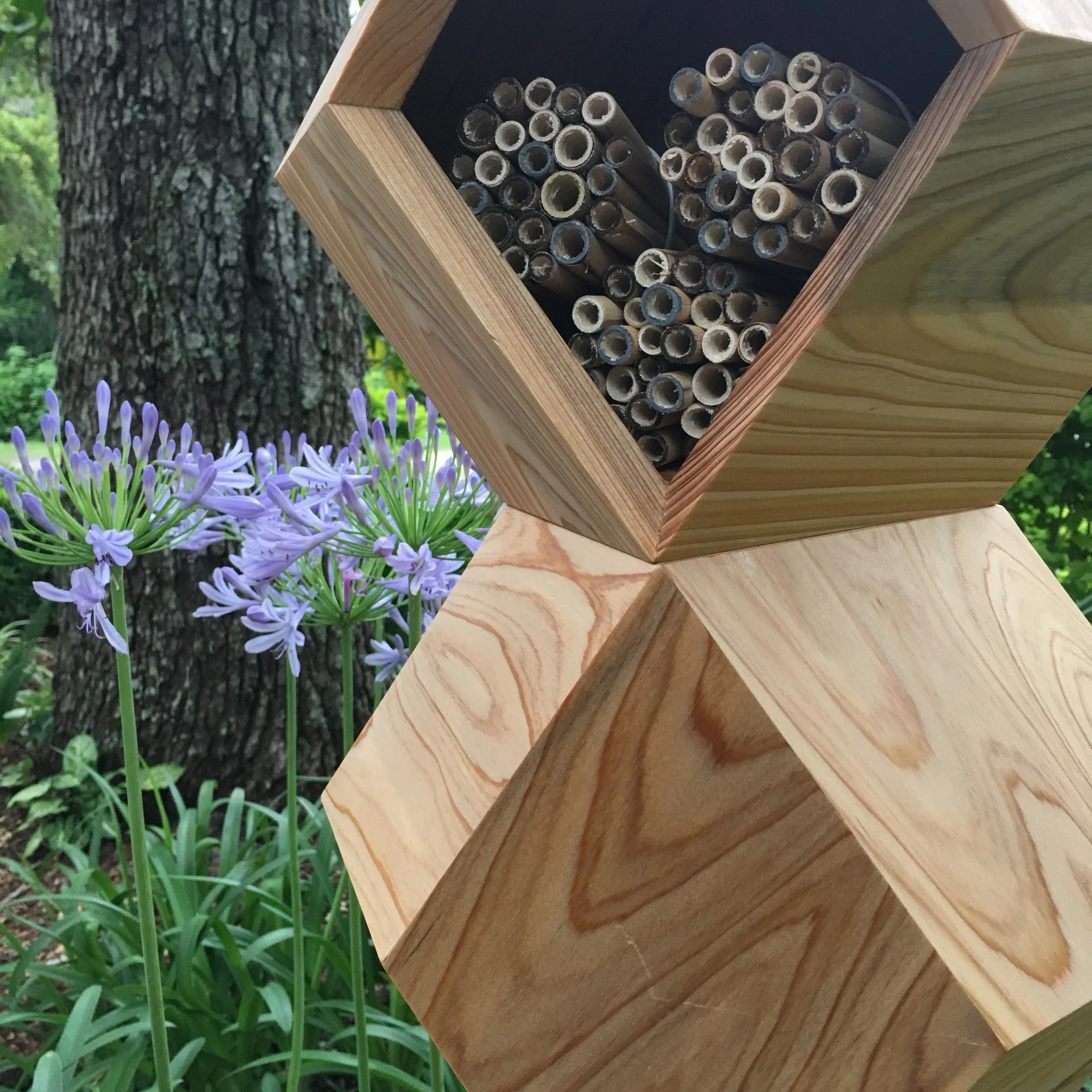 Saint+Louis+Science+Center+Native+Bee+Manor.jpg