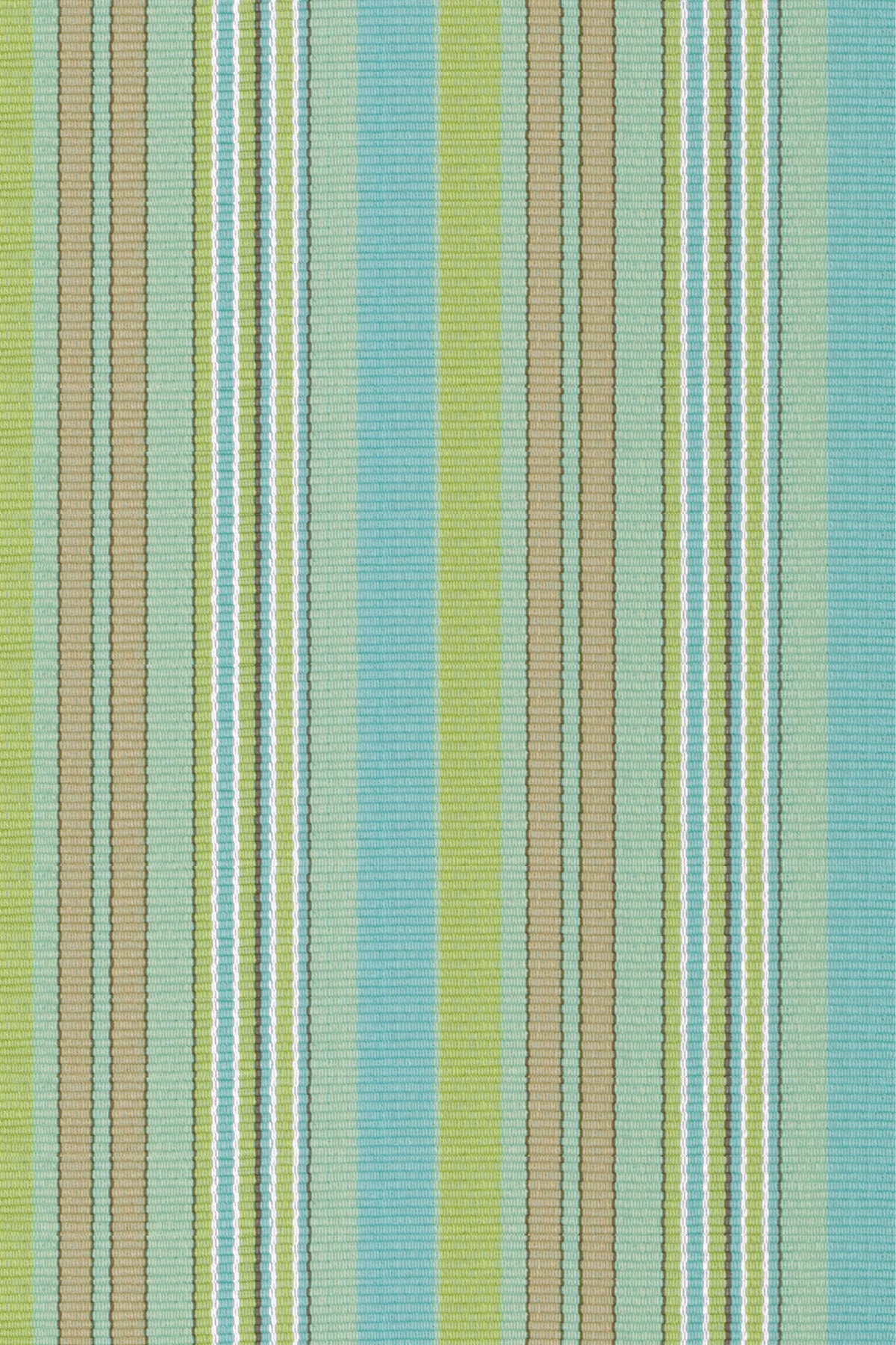 Aquinnah Cotton
