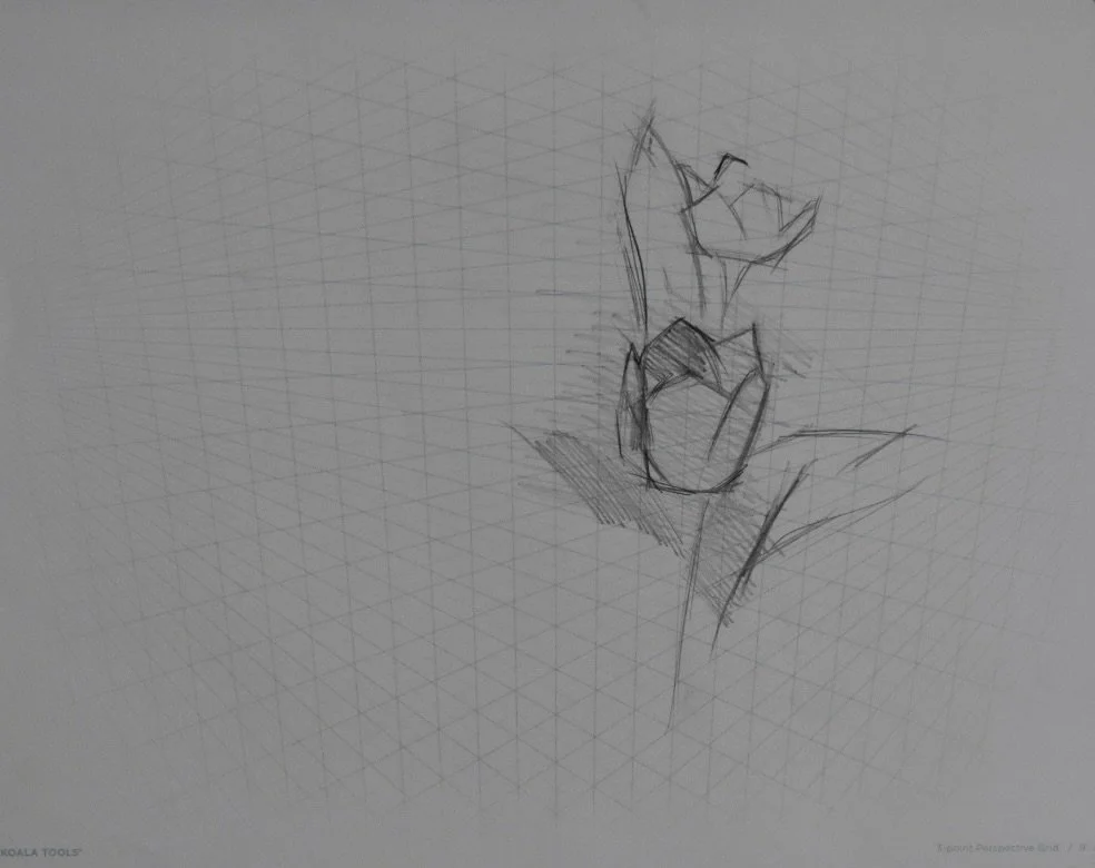 DSC_0662.jpeg