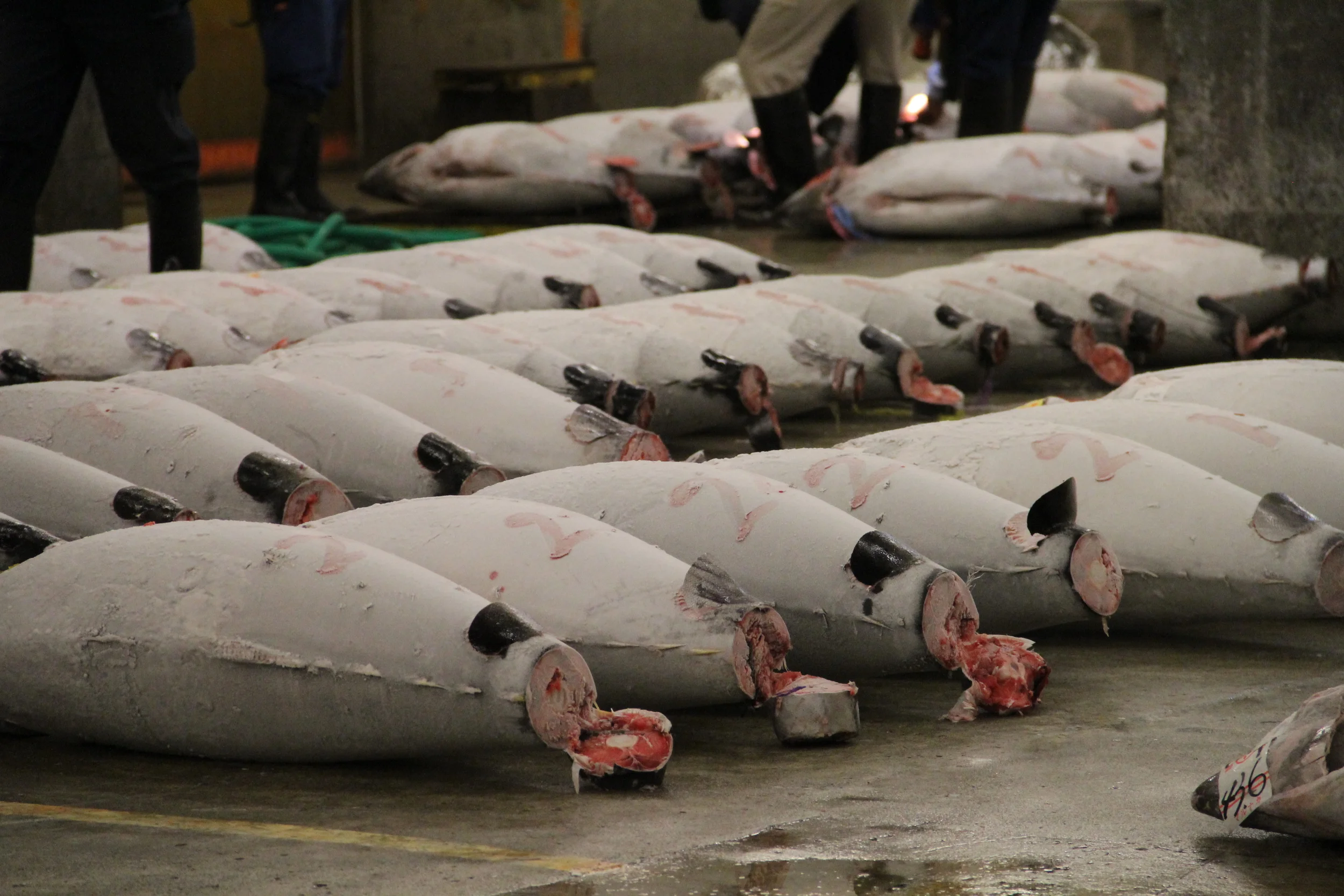 Going Once, Going Twice...Sold! 