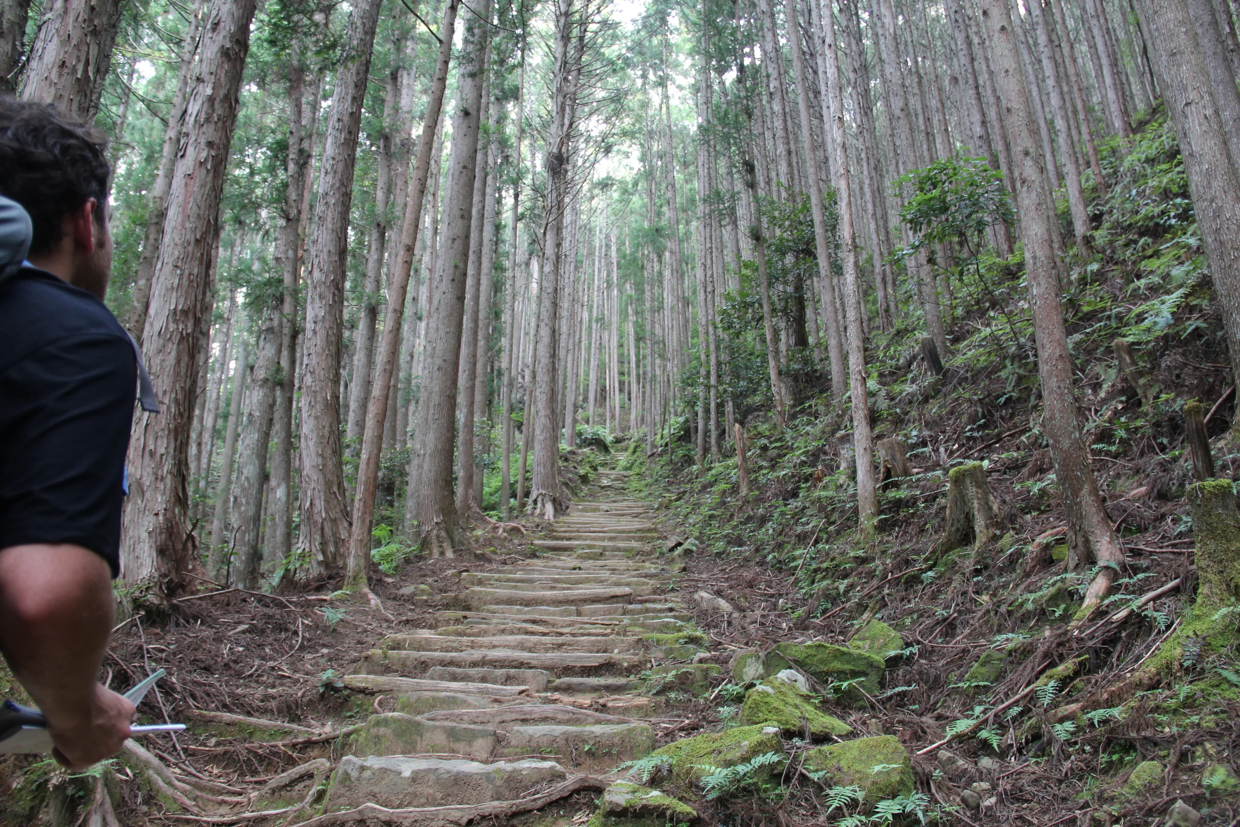 Kumano Kodo
