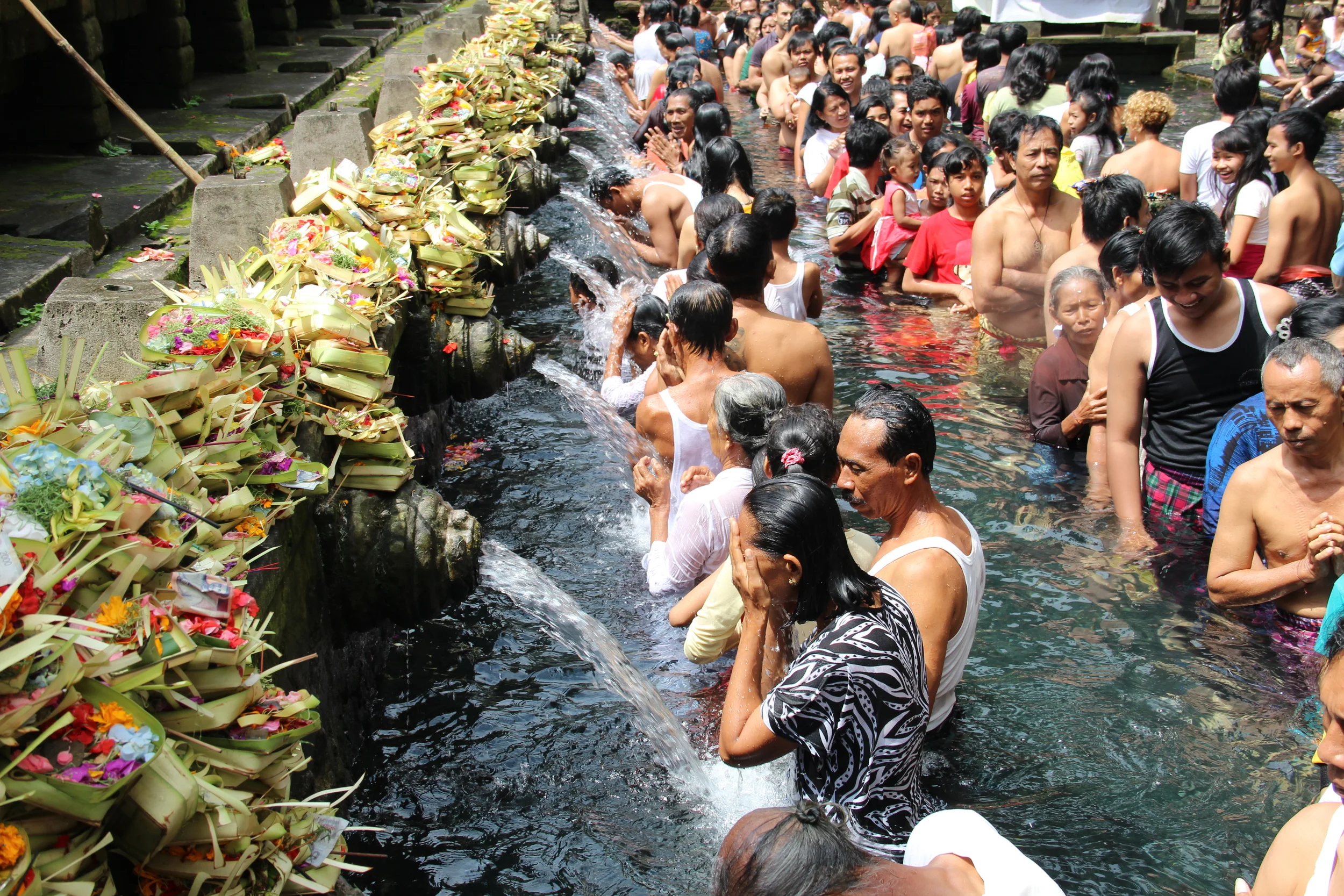 Monkeying Around in Ubud