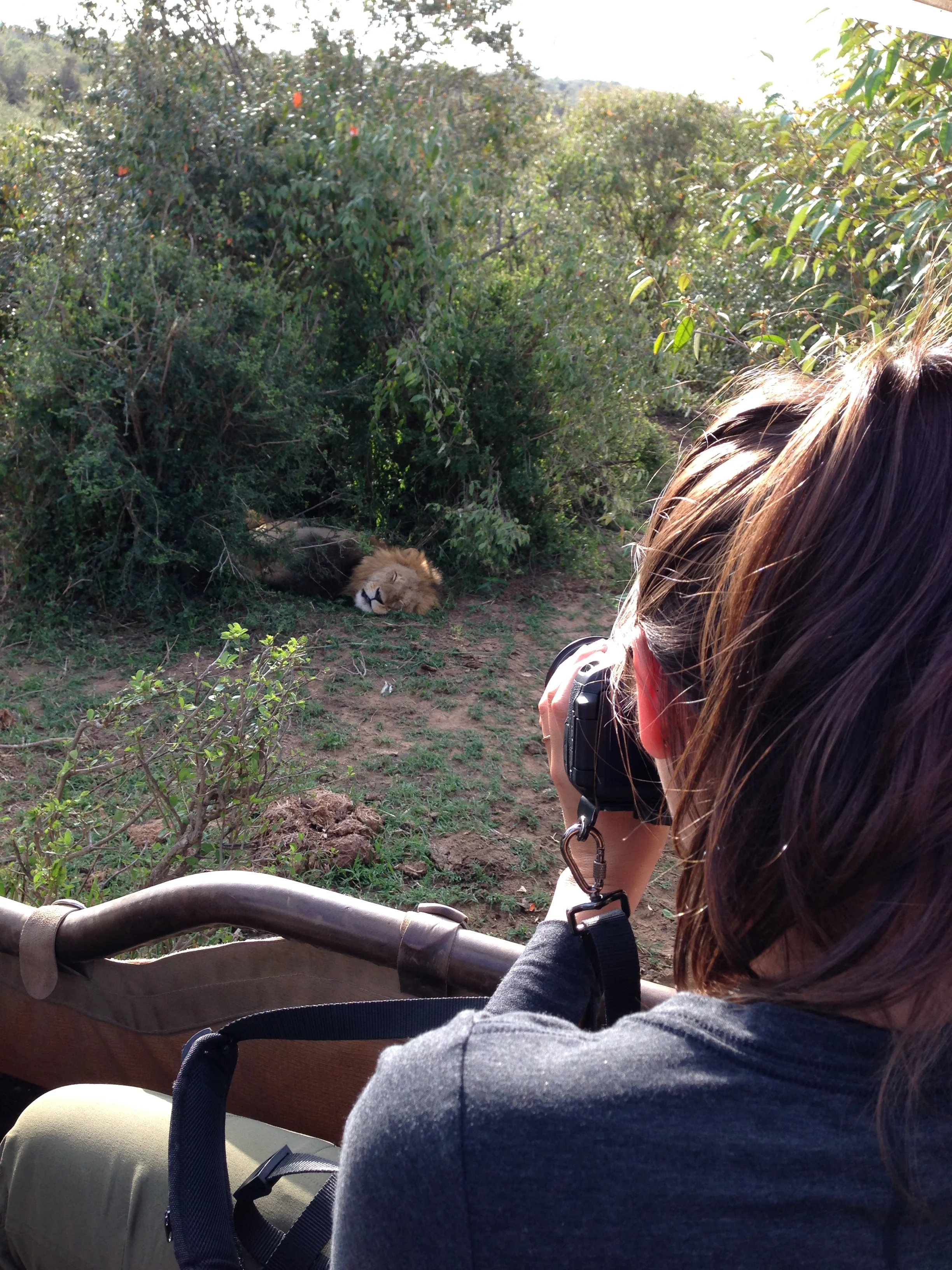 Primal Fear (Safari - Part I)