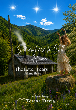 Somewhere to Call Home | Volume Three | Teresa Davis