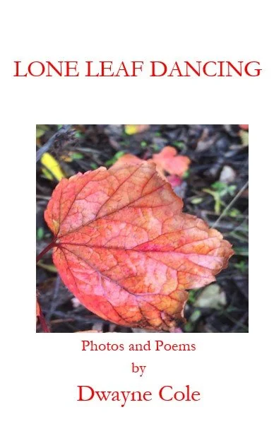 Lone Leaf Dancing