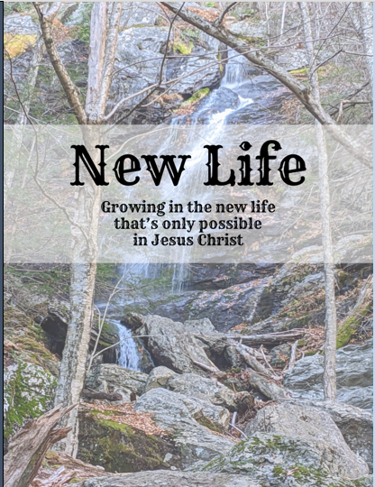 Screenshot 2024-01-31 165302.png