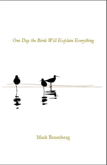 One Day the Birds Will Explain Everything | Mark Bromberg