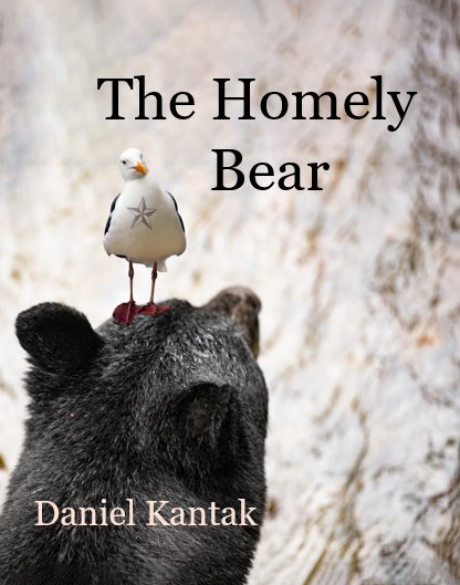 The Homely Bear | Daniel Kantak
