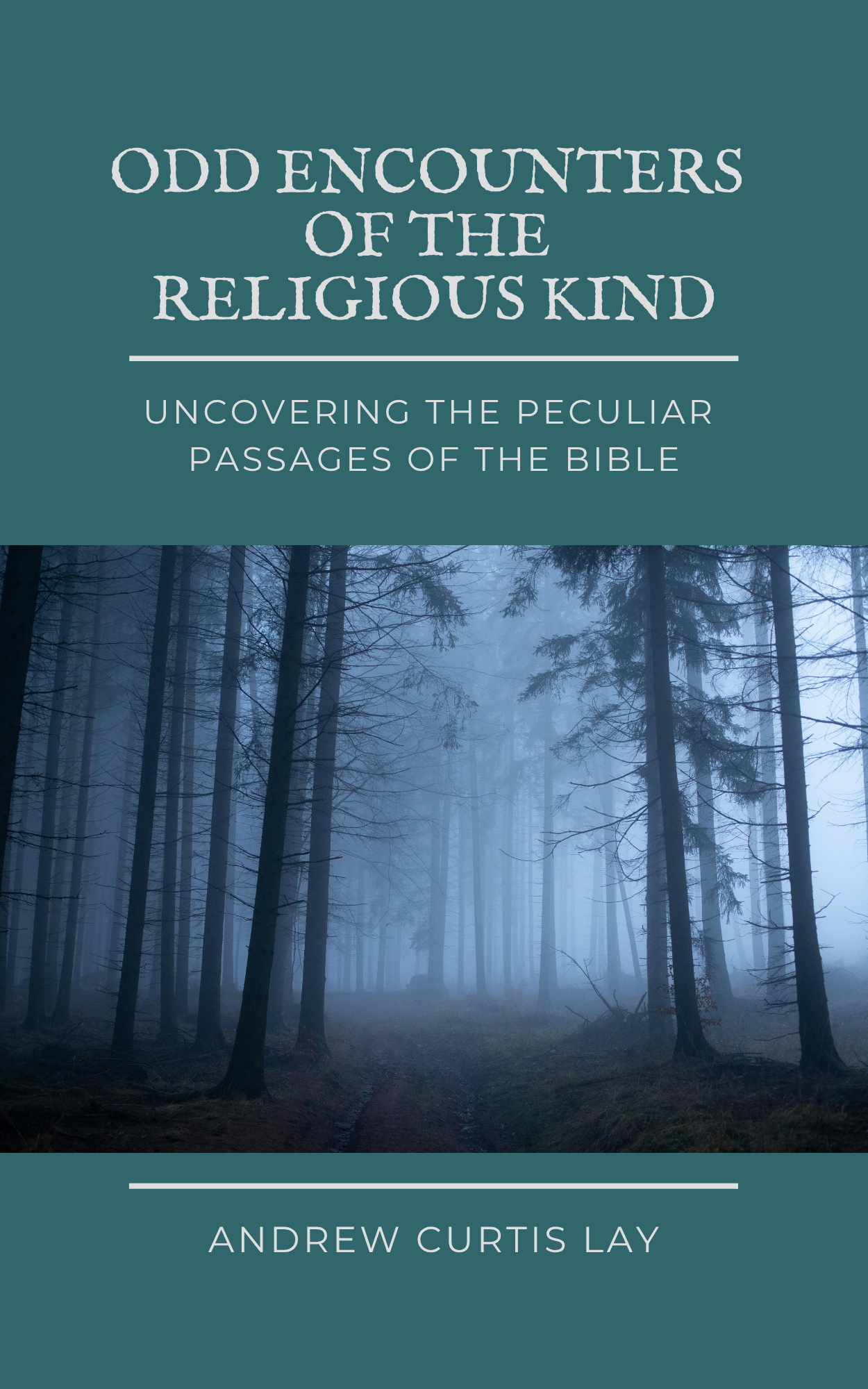 Odd Encounters of the Religious Kind | Andrew Curtis Lay