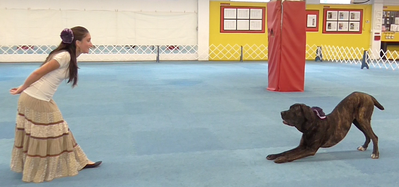 Screen shot 2014-08-26 at 10.55.37 PM.png