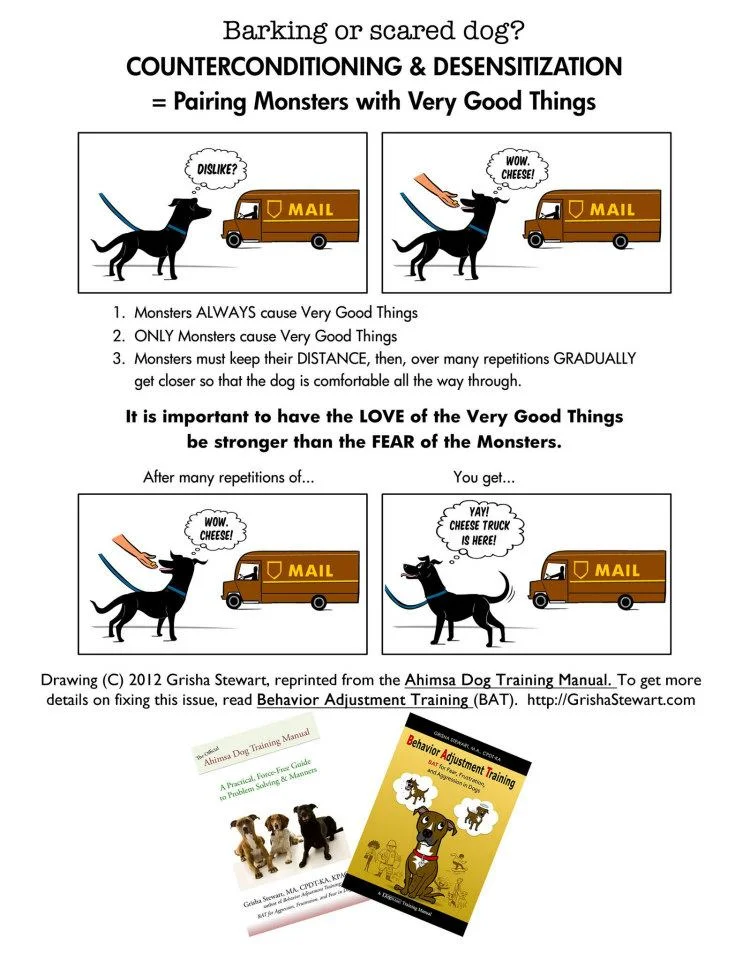 CounterConditioning .jpg