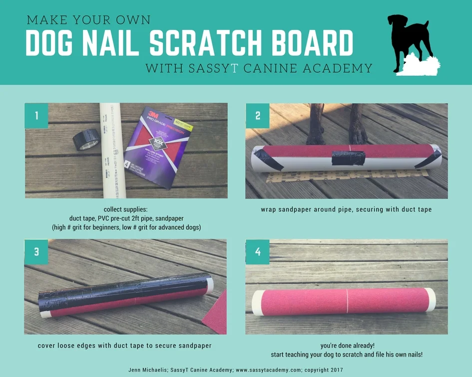 Teach your dog to trim his OWN nails! — SassyT Canine Academy Dog