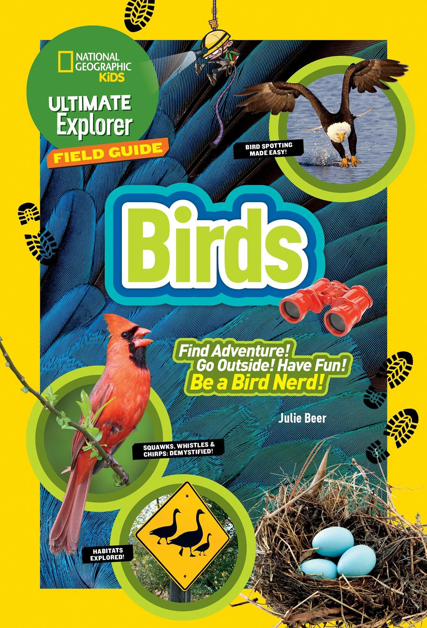 birds91XGCHFPJOL.jpg