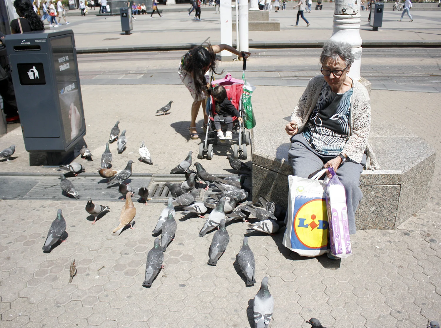 birds.jpg