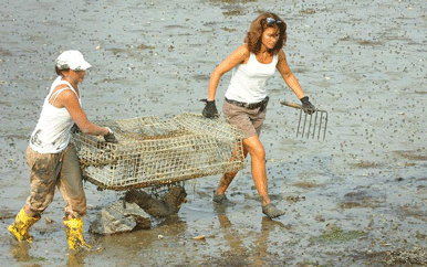 Growing global green harbors